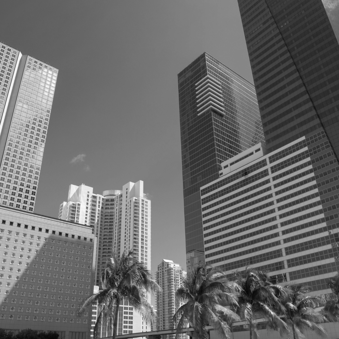 Transforming Miami’s Job Market: Comprehensive Employment Services Image