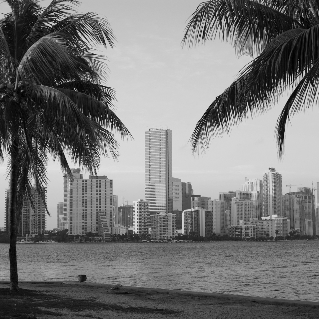 Your Trusted Partner in Miami for Staffing and Recruitment Solutions Image